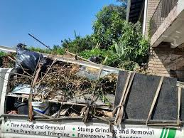 Best Yard Waste Removal  in Cape May, NJ